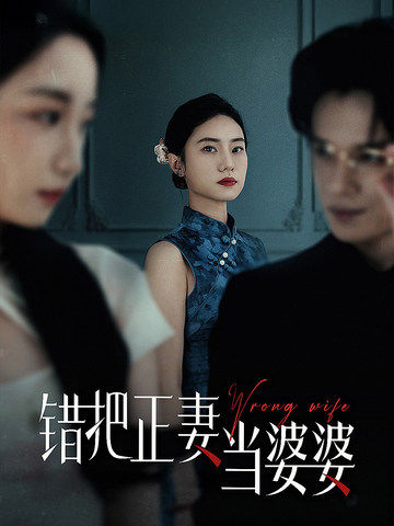 错把正妻当婆婆